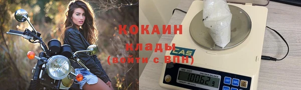 молекула духа Арсеньев