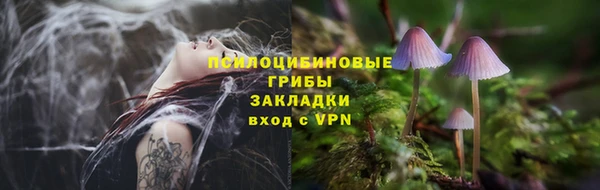 молекула духа Арсеньев